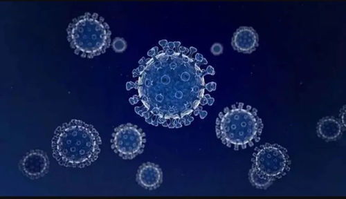 任澤平對話尹燁 生命科技、生物技術(shù)與健康長壽的未來前景