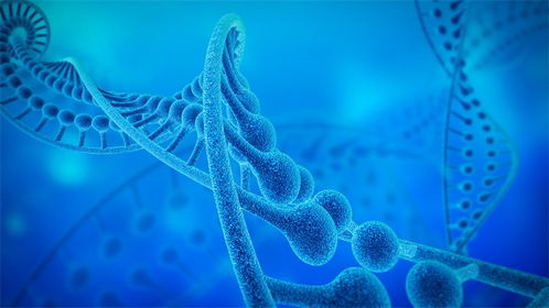 生葆生物首輪融資成功，加速溶瘤細(xì)菌管線臨床試驗進(jìn)程